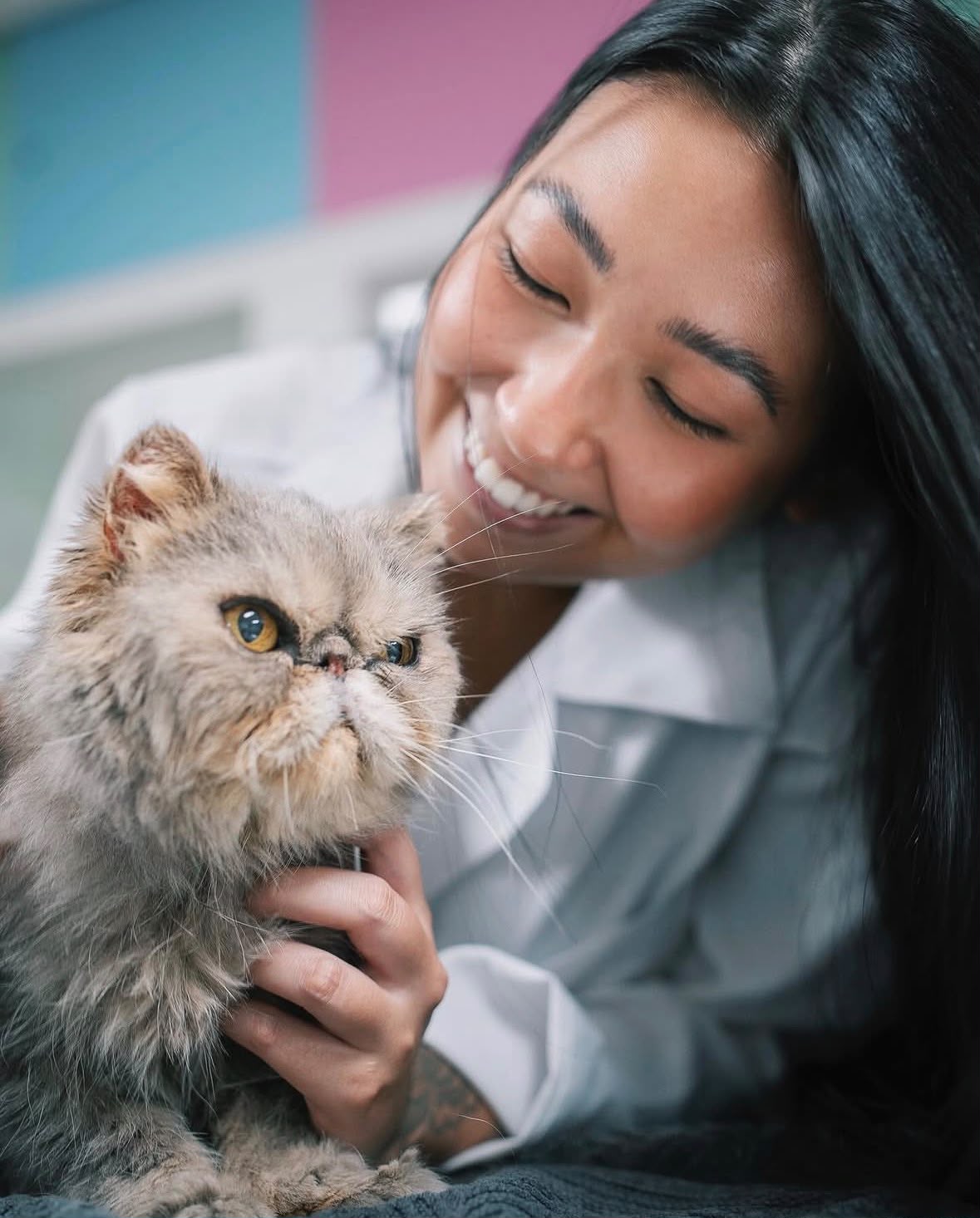 Dra. Jade Yang em atendimento Cat Friendly, cuidando de um gato com carinho